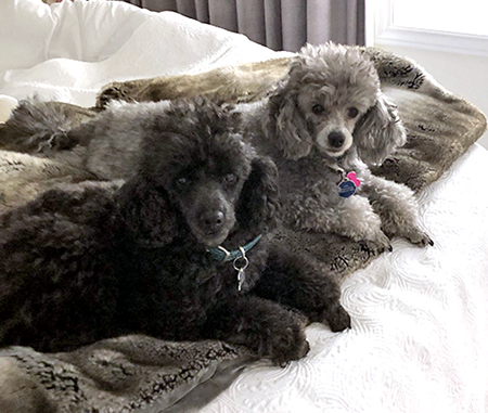 Macy and Oliver