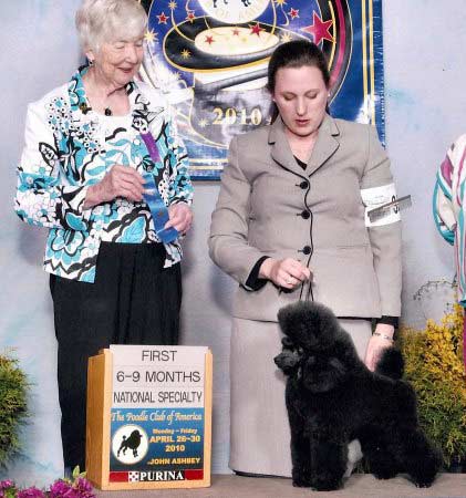 First place in the 6-9 puppy class, PCA 2010